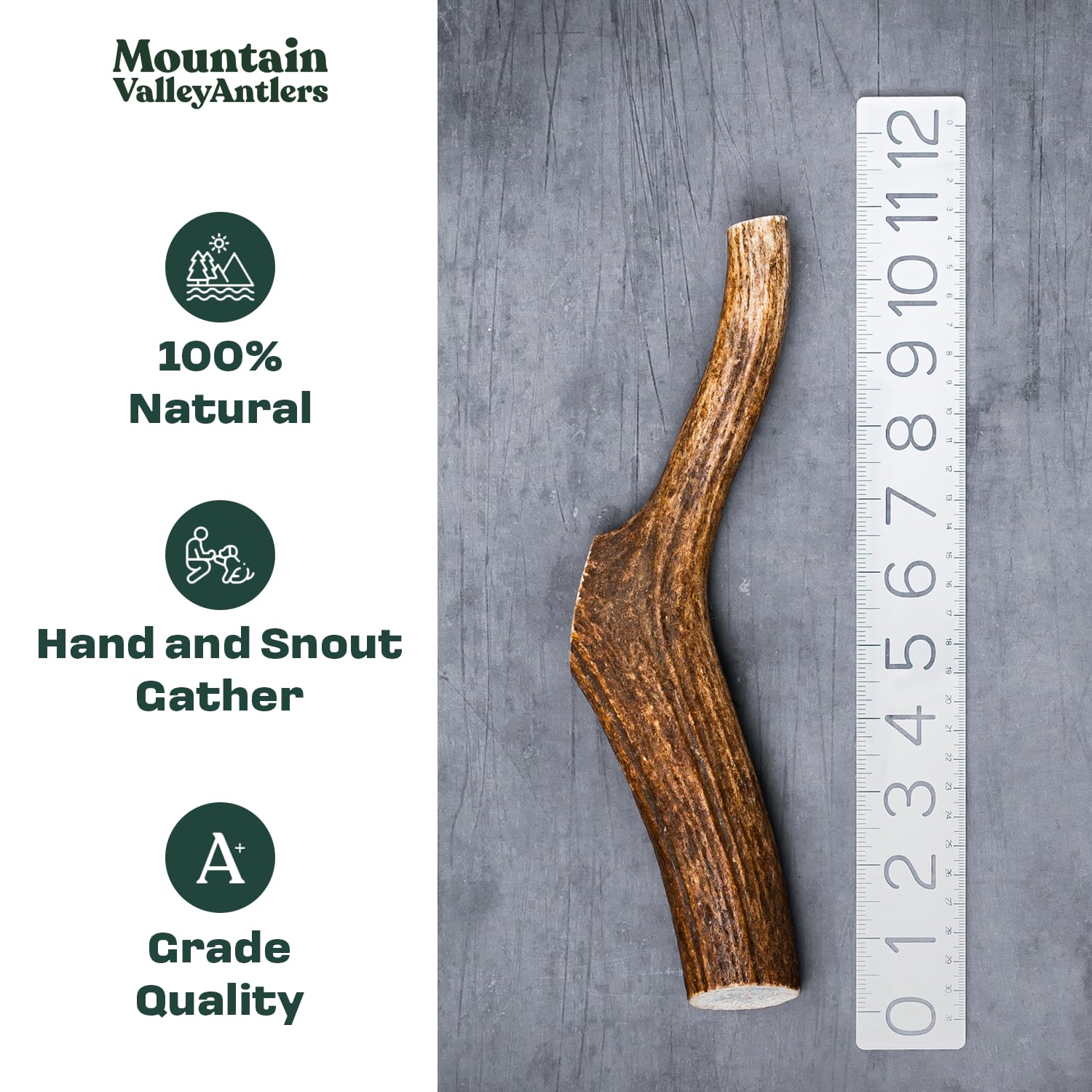 Mountain Valley Antlers: cuerno de alce de textura dura para perros activos