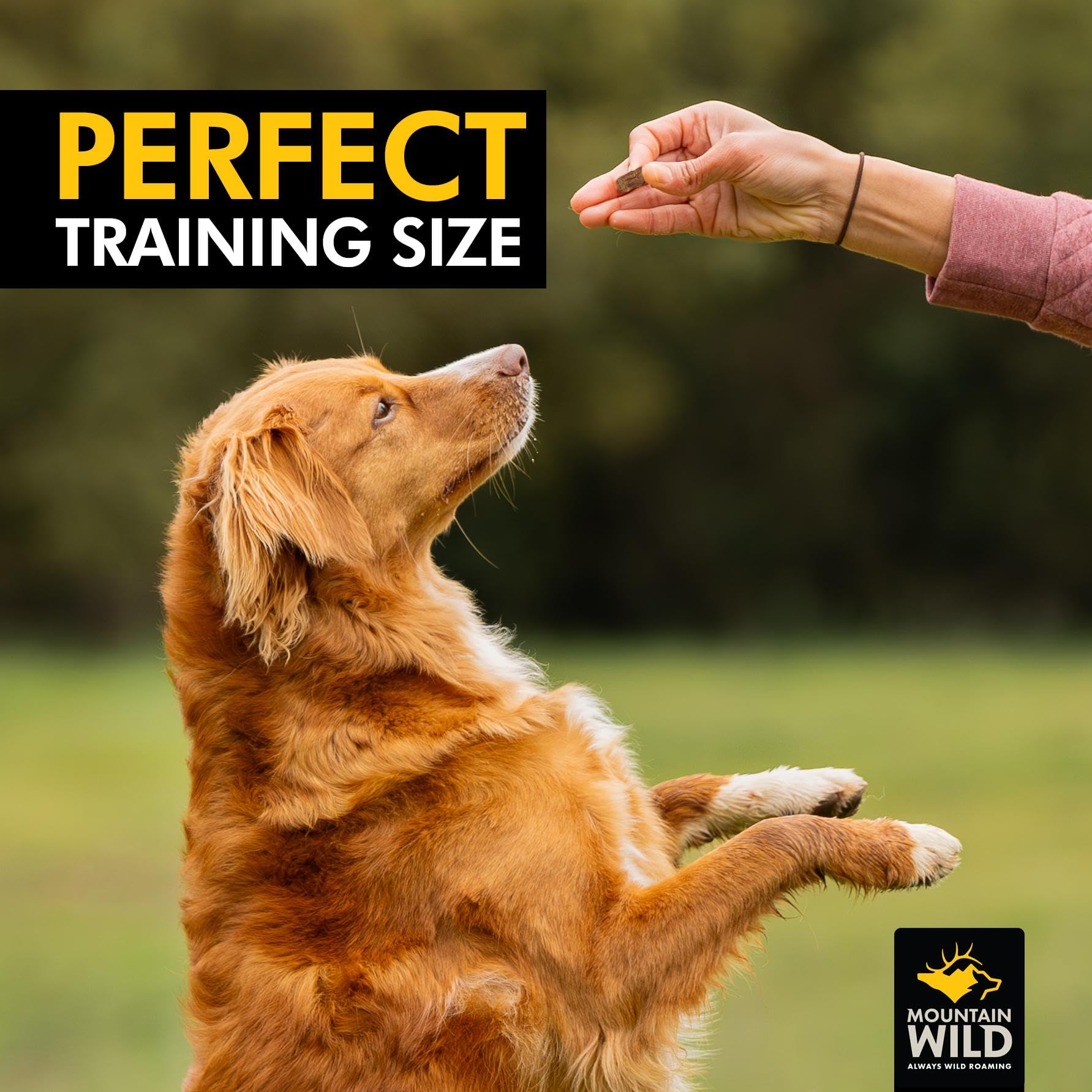 MOUNTAIN WILD receta-limpia-sin-preservantes para perros