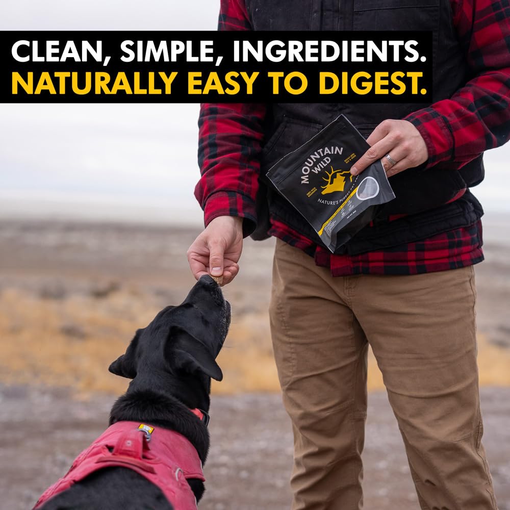 MOUNTAIN WILD sin-conservantes-artificiales, snack natural sin aditivos