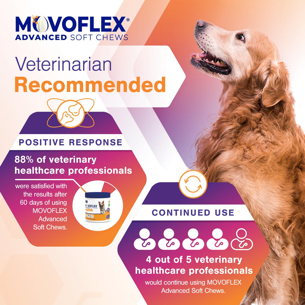 Movoflex sabor a pollo para perros que aman comer