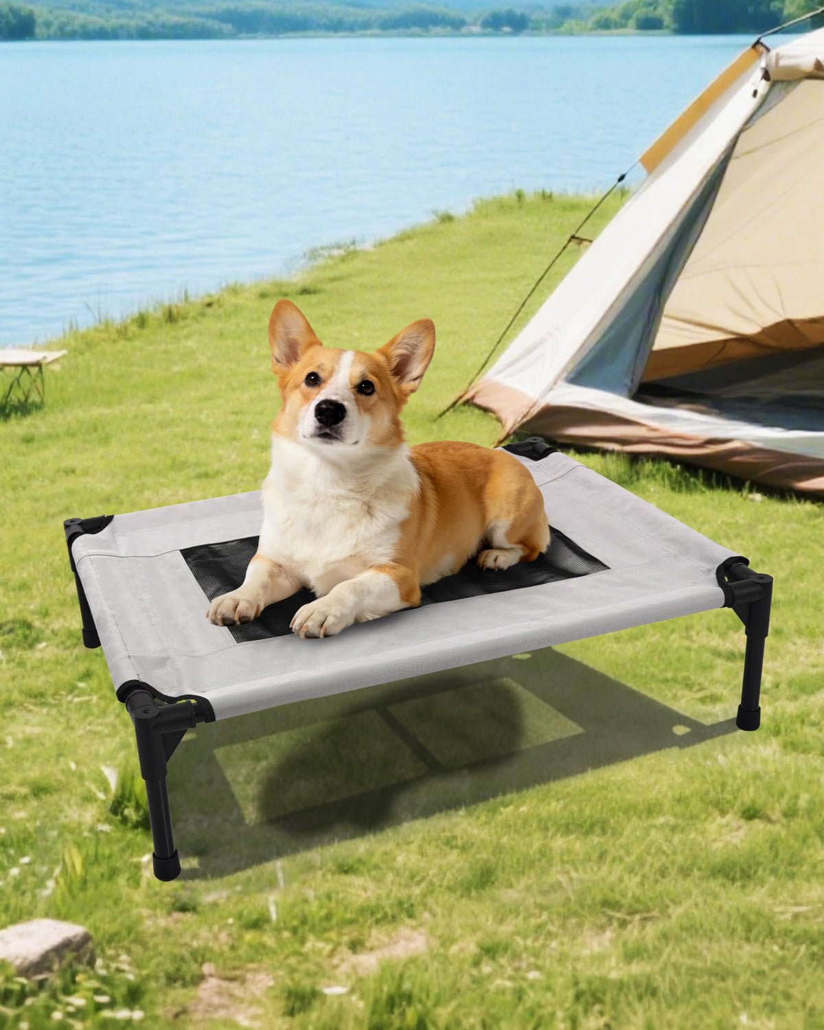 Cama Moysoon elevada para perros con marco de acero ofrece soporte estable.