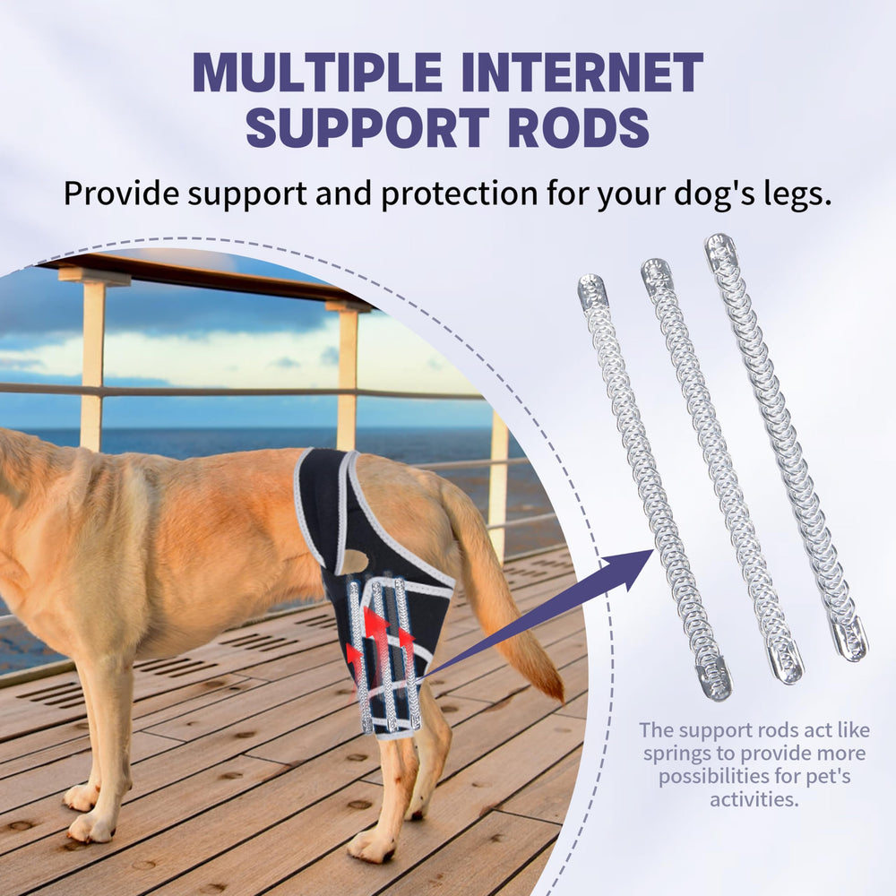 Rodillera Moysoon para uso en patas delanteras y traseras en perros.