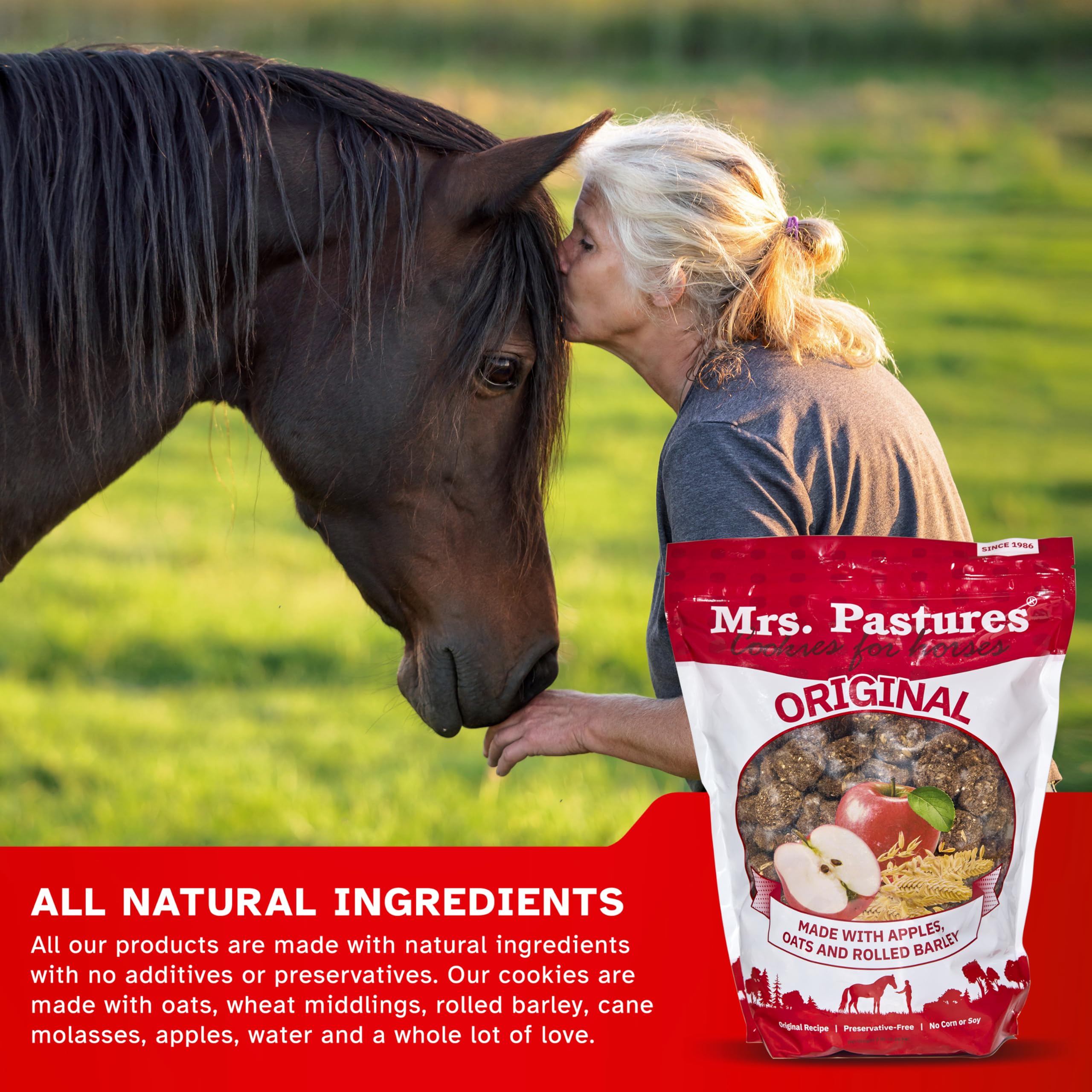 Envase de 15 lb de galletas para caballos Mrs. Pastures