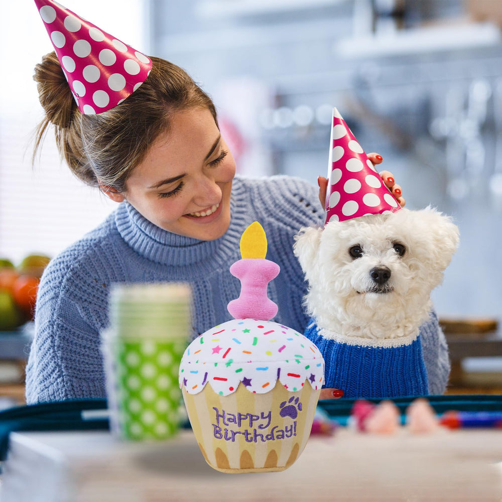 MRSOHRET diseño vela hueso, añade toque único para la fiesta de tu cachorro.