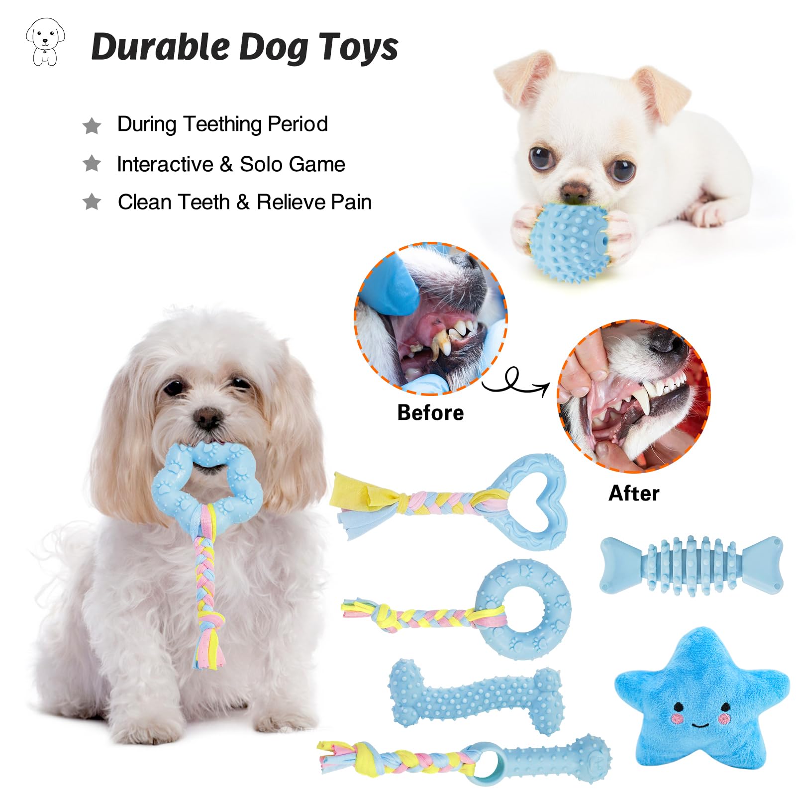 MRSOHRET: conjunto en empaque para mantener al cachorro entretenido