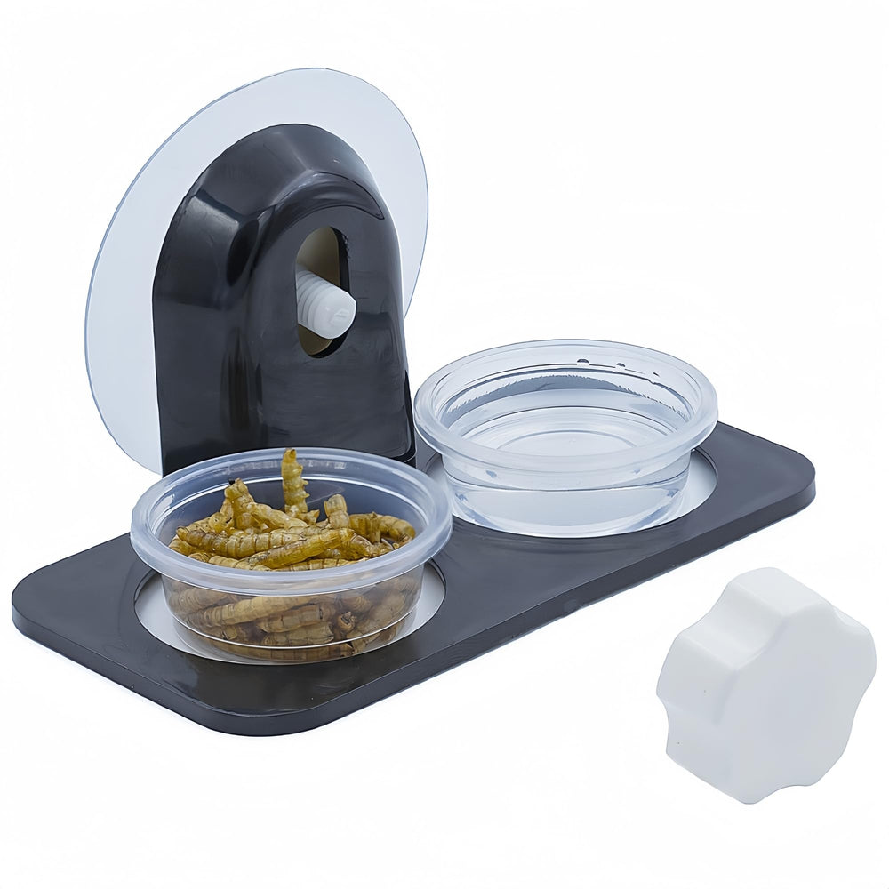 MRTIOO cuencos de alimentación transparentes para observar la comida.