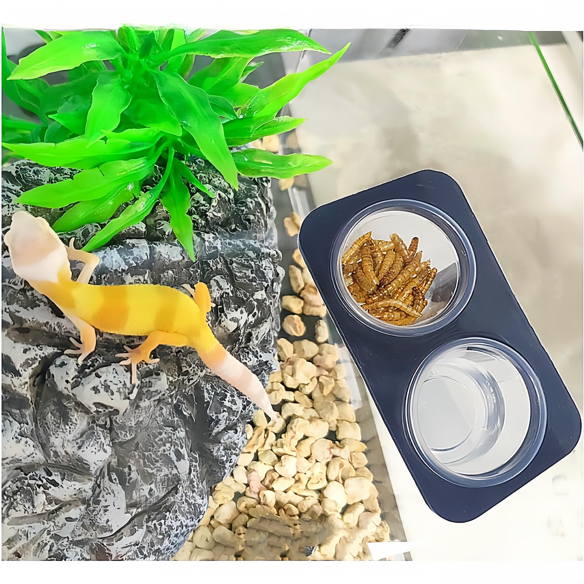 Utilisation polyvalente des tasses MRTIOO, idéale pour nourriture et liquides.