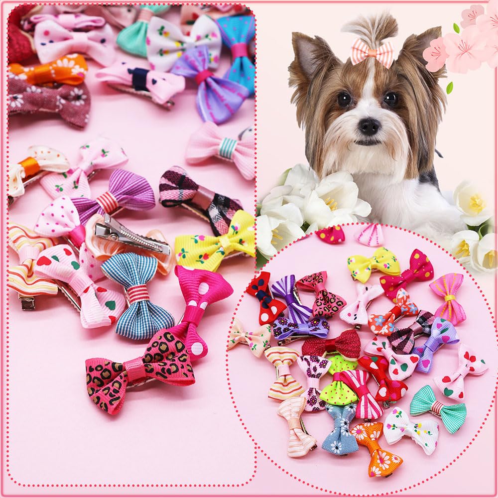 Lazo para perros pequeños y medianos para lucir con estilo.