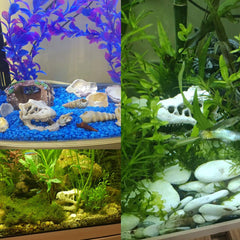 MTGHYARE cráneo-dinosaurio de resina, decoración ligera para acuarios de agua dulce.