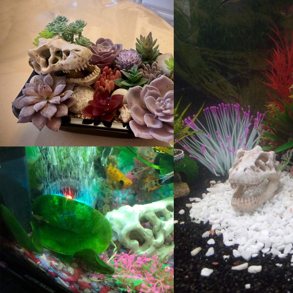 MTGHYARE cráneo-dinosaurio de resina, opción versátil para terrarios y jardines.