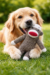 Monito calcetín de Multipet: juguete interactivo para perros pequeños y medianos.