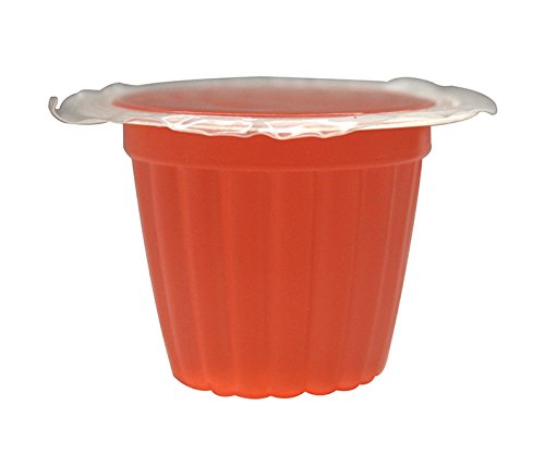 Jelly Pots Fruta sabor melon, nutricion para insectos en terrario