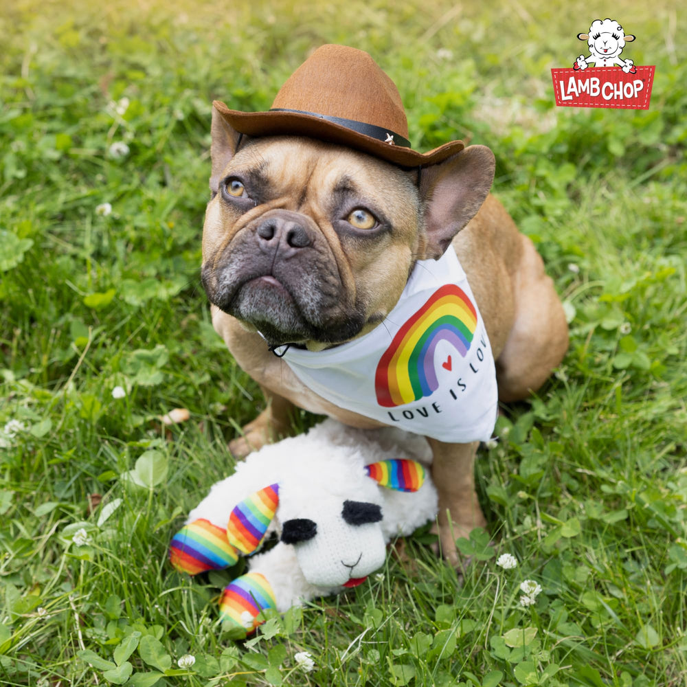 Lamb Chop celebra cumpleaños y crea momentos divertidos en casa.