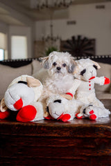 Multipet Lamb Chop detalle de squeaker para entretenimiento adicional