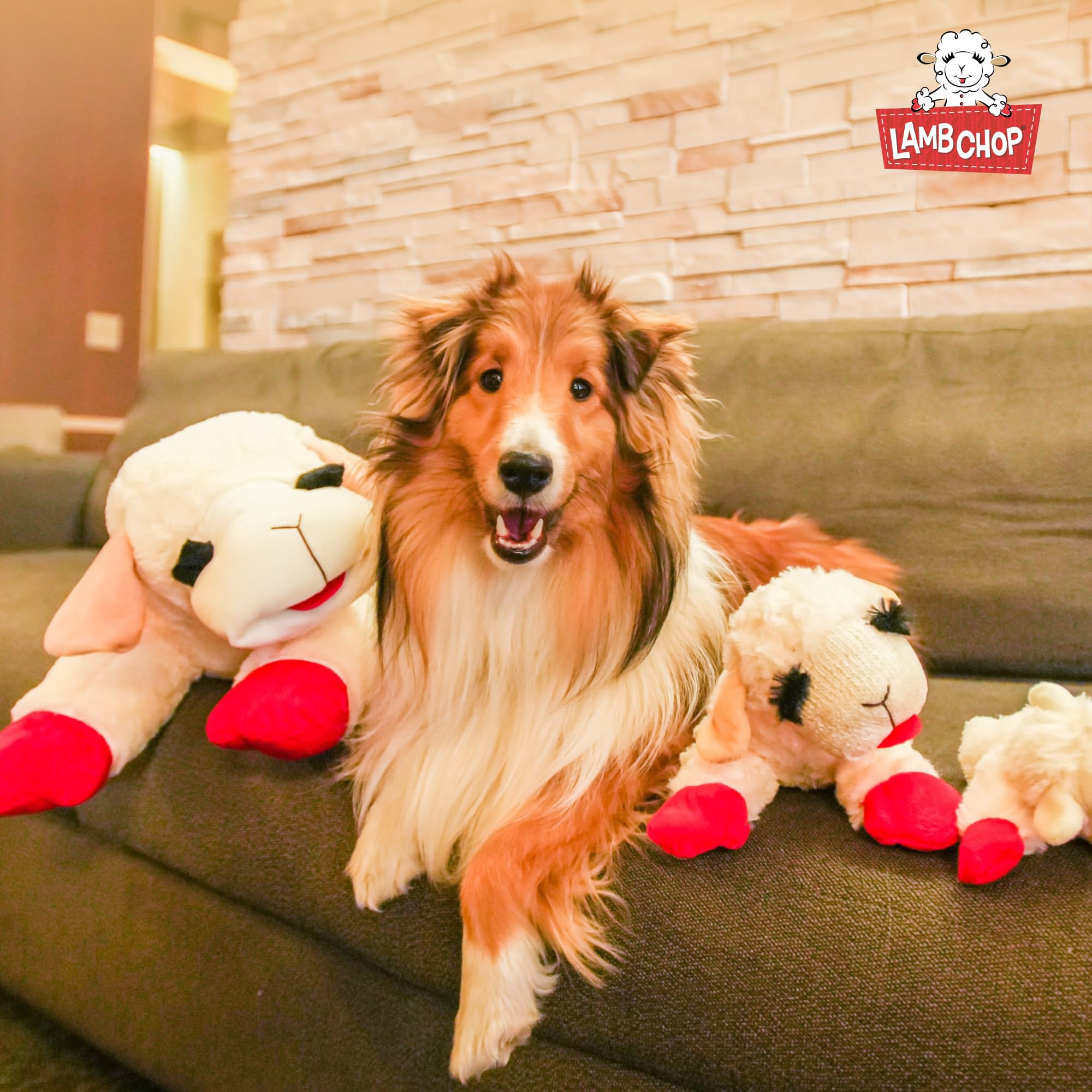 Compañero de juego Multipet Lamb Chop para casa y parque.