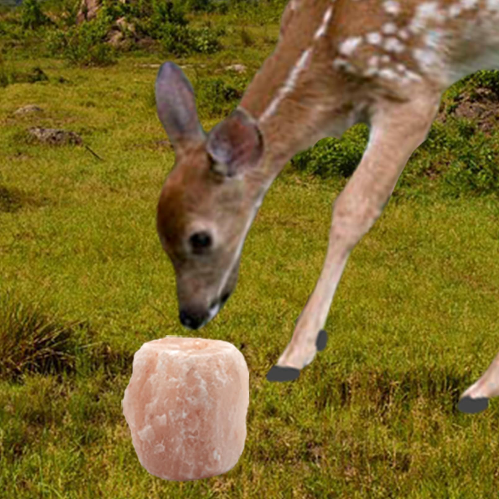 MUYG sal Himalaya: color rosado natural que sugiere pureza y origen en las montañas.