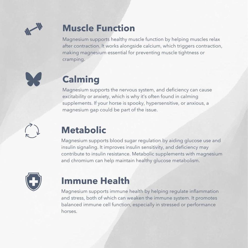 MVP Magnesium 5000: envase sellado para conservar gránulos de forma segura.