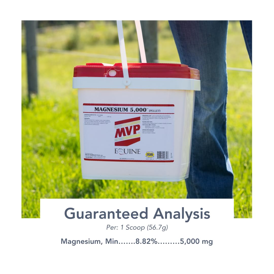 MVP Magnesium 5000: textura fina de gránulos para fácil ingestión.