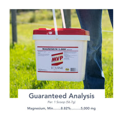 MVP Magnesium 5000, caballo relajado, apoyo suave para la convivencia diaria.