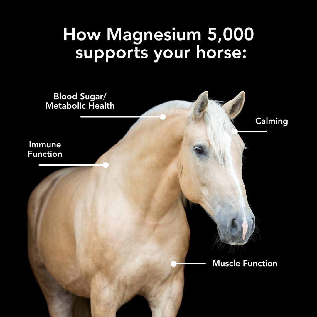 MVP Magnesium 5000, gránulos porciones, apoyo para el metabolismo equilibrado.
