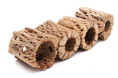 My Pet Patrol: madera cholla oso de peluche 12 pulgadas, refugio espacioso para acuarios grandes.