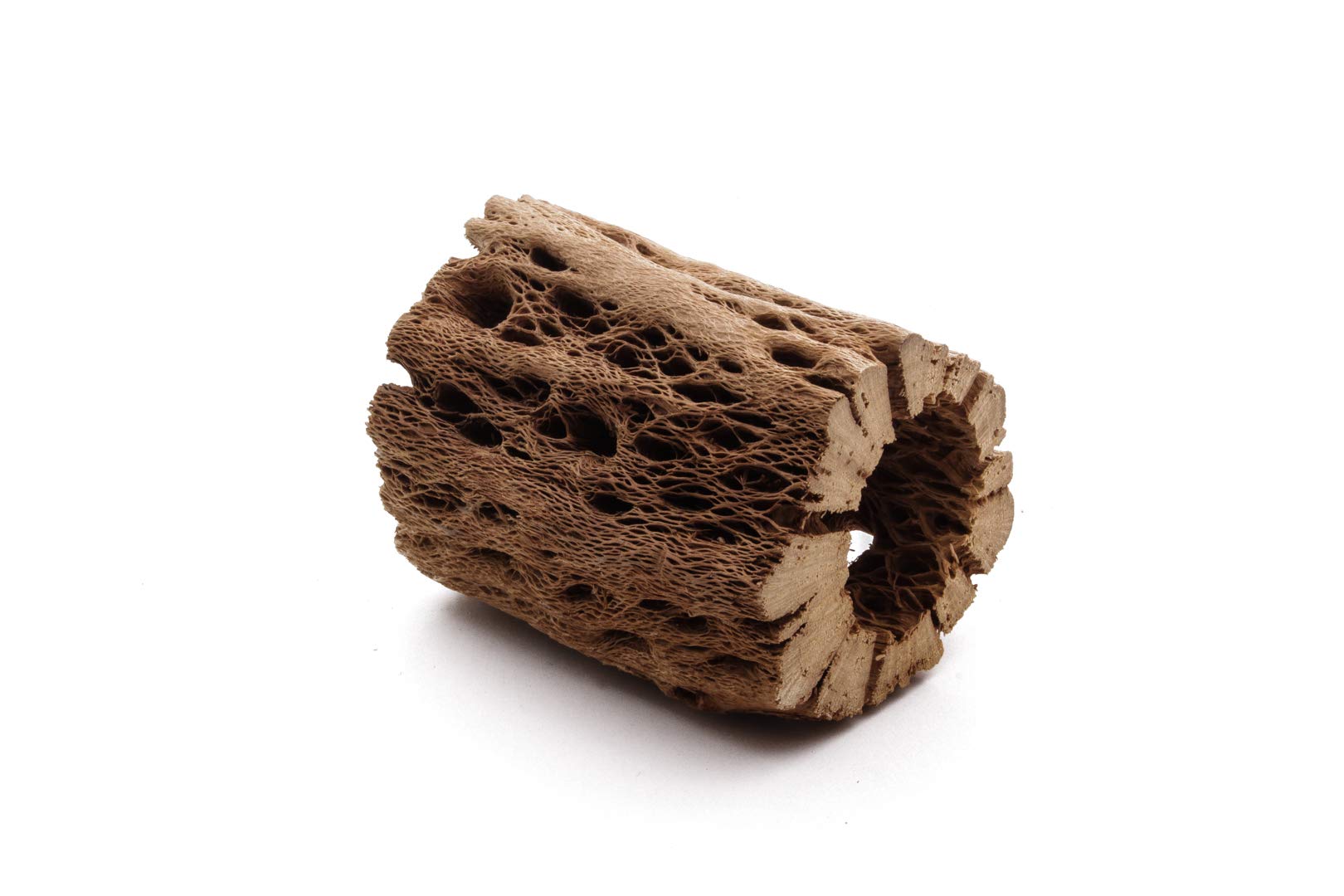 My Pet Patrol: madera cholla oso de peluche 24 pulgadas, decoración natural para terrarios y acuarios.