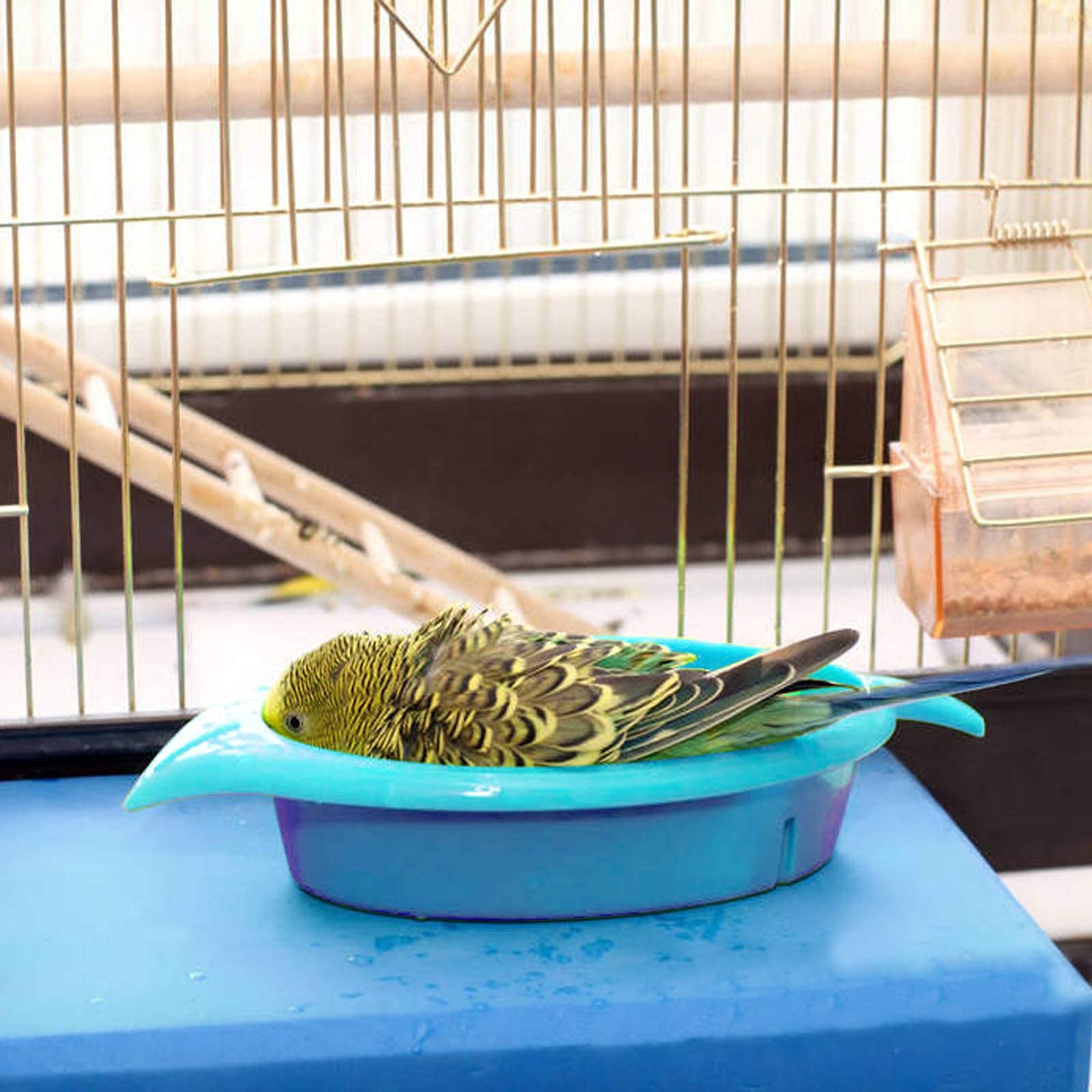 Mygeromon banera azul 300ml, baño breve y refrescante para aves.