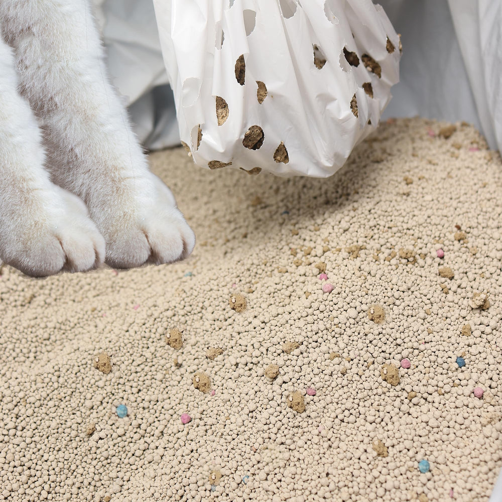 Mygeromon bolsa 31x18 pulgadas para bandejas estándar de gatos.