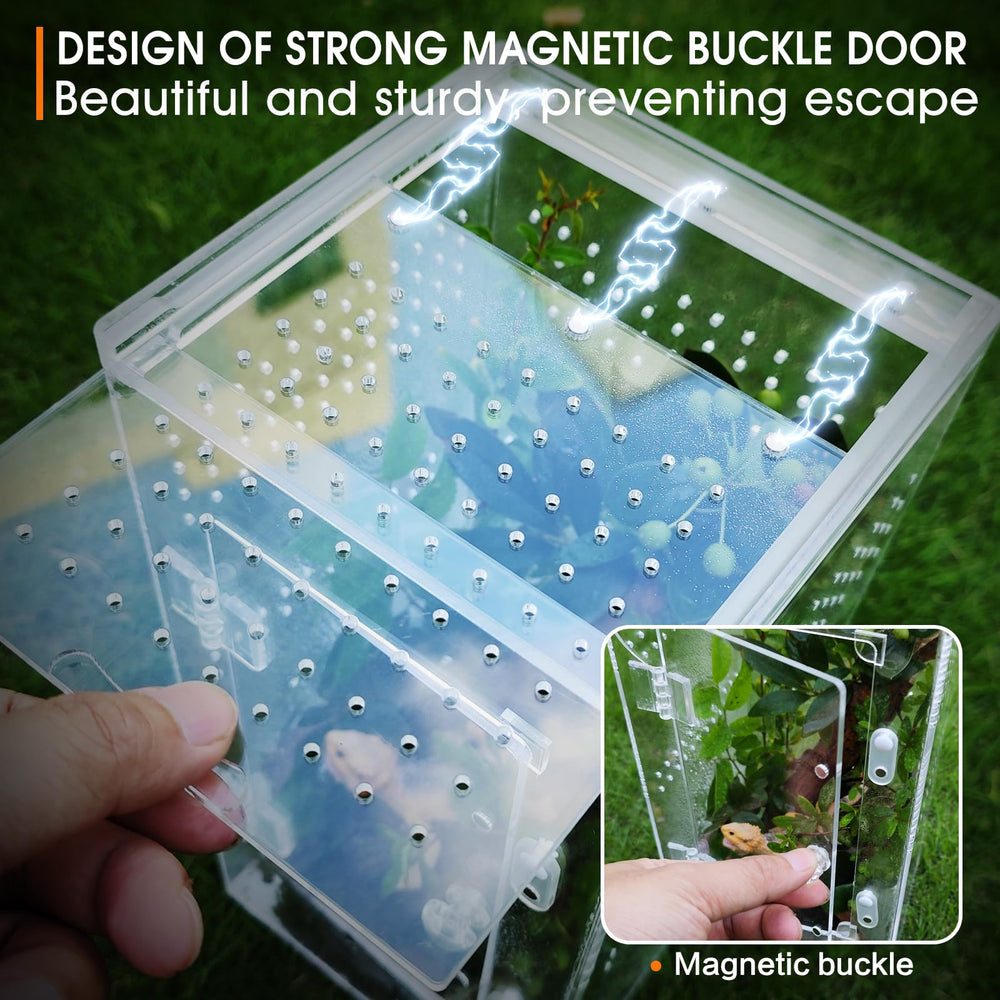 MYGIIKAKA accesorios para terario insectos preensamblados listos para usar