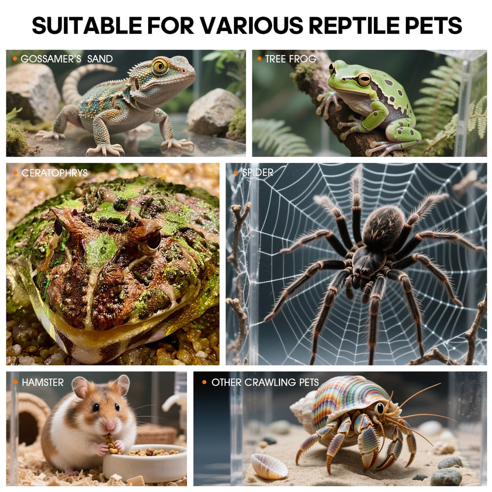 MYGIIKAKA caja insectos duradera y fácil de limpiar