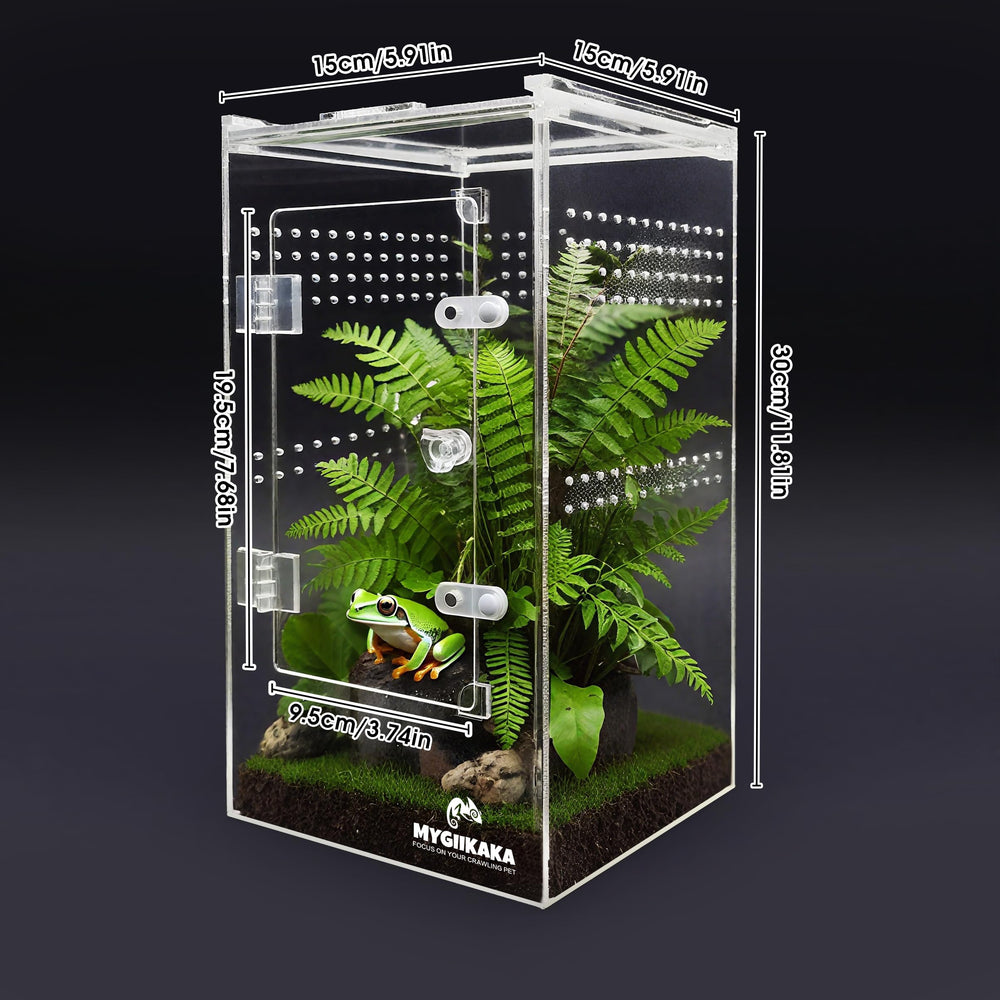 MYGIIKAKA mini ecosistema insectos diseño compacto para escritorio