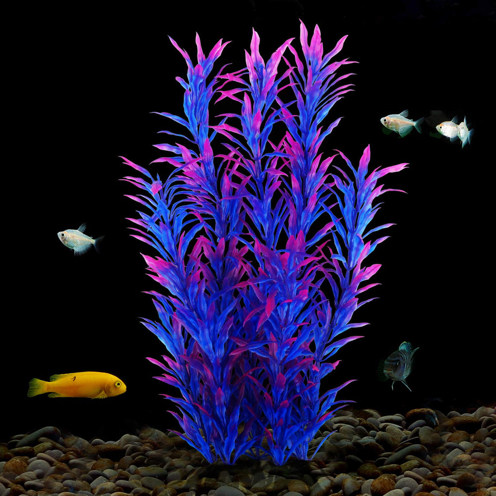 Base de cerámica estable para plantas azules en el acuario