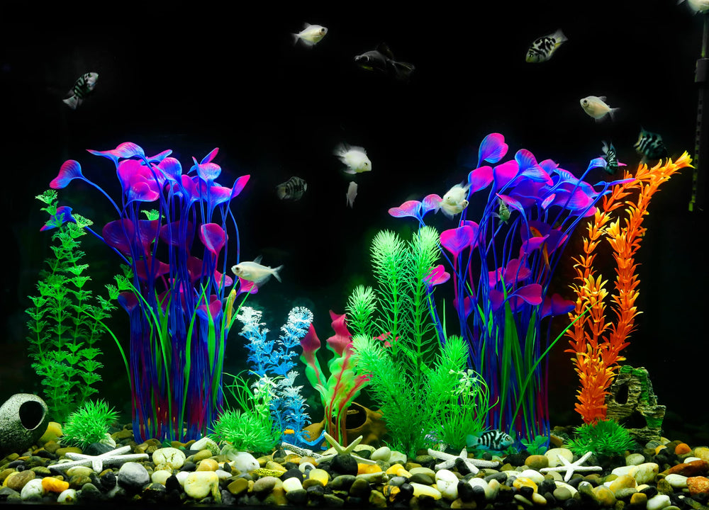 MyLifeUNIT planta acuario fácil de limpiar, uso a largo plazo