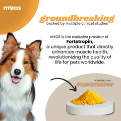 Recuperación de perro tras lesión o cirugía con MYOS Canine Muscle Formula.