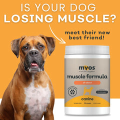 MYOS Canine Muscle Formula ayuda a la recuperación tras ejercicio
