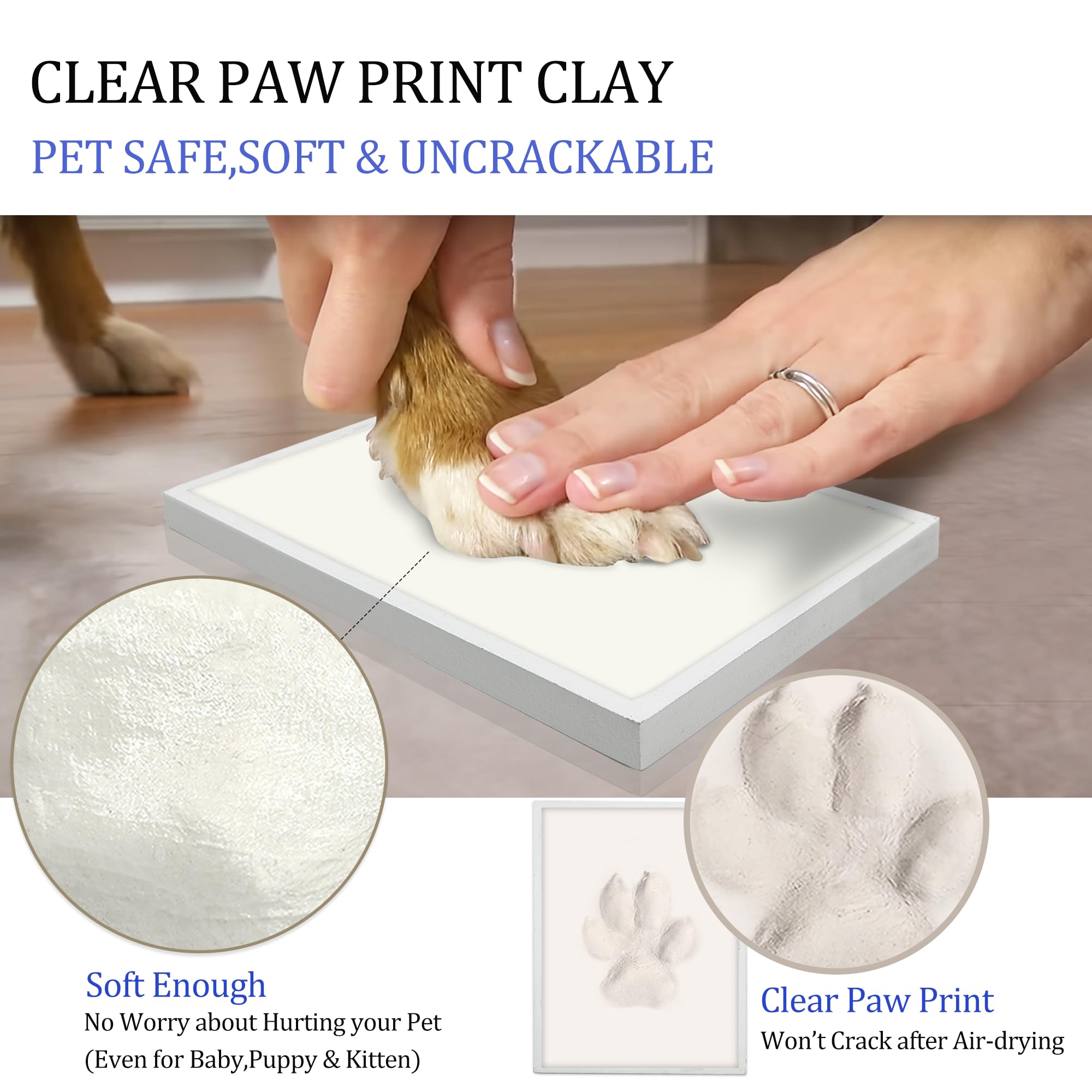 MYPAWLETS accesorios personalizables para un recuerdo único