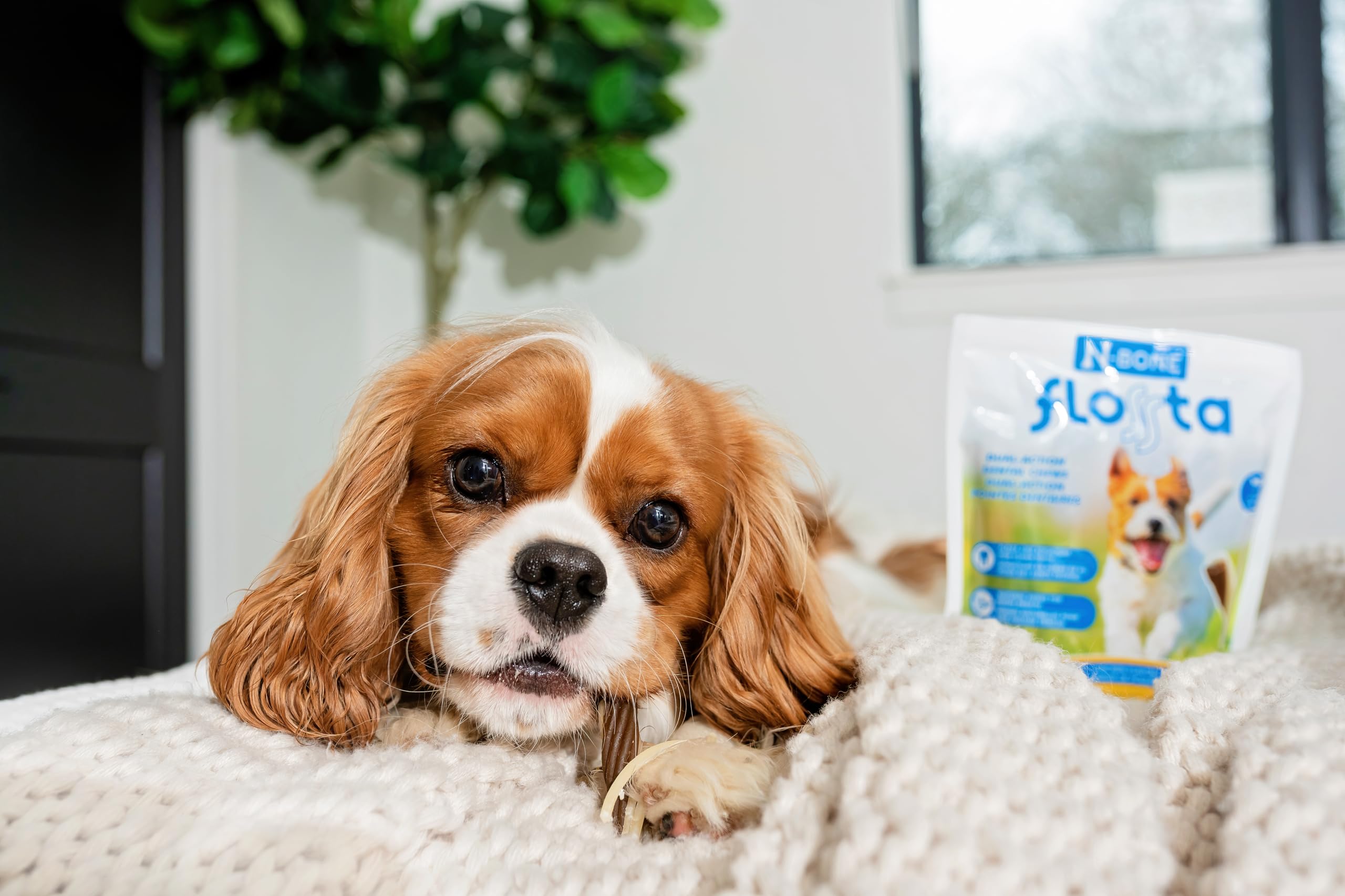 N-Bone Flossta Ingredientes de calidad con hierbas naturales.