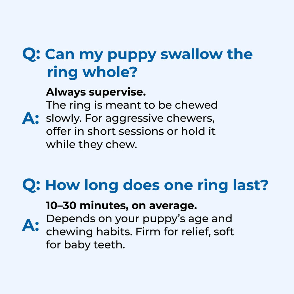 N-Bone Puppy Teething Rings: seis anillos en total para juego y entrenamiento suave.