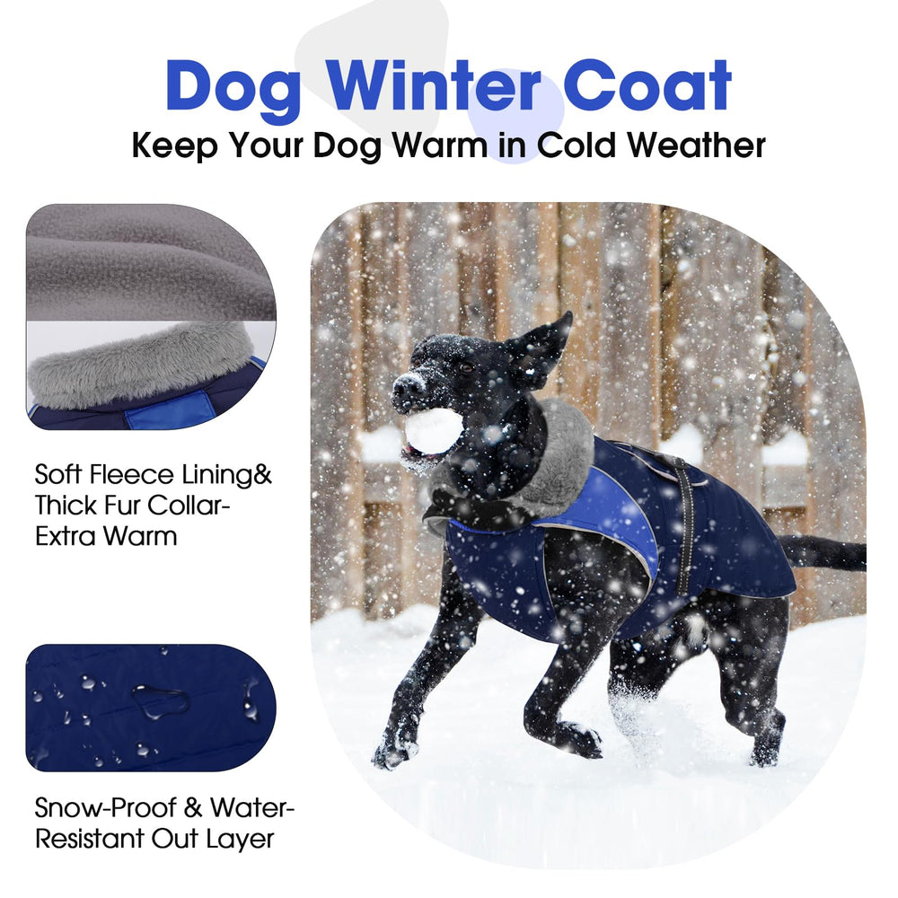 Nanaki chaqueta de invierno para perro, vista posterior con orificio para correa, práctico y seguro.