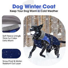 Nanaki chaqueta de invierno para perro, vista posterior con orificio para correa, práctico y seguro.