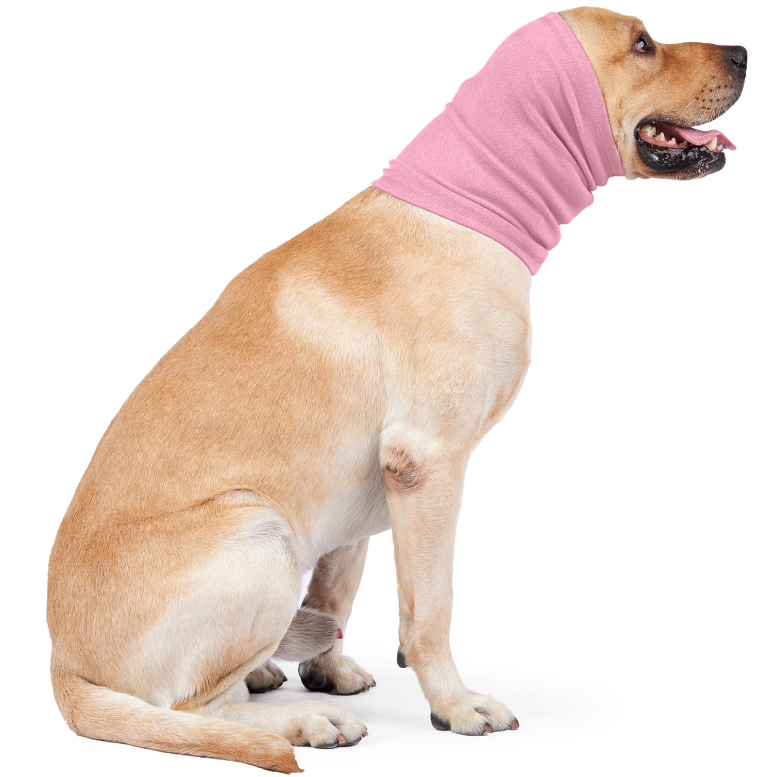 Nanaki tallas diferentes para perros y gatos, ajuste cómodo