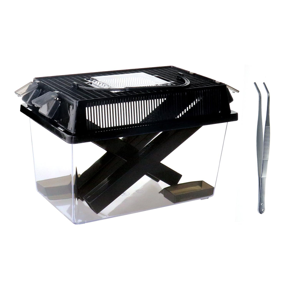 NANEEZOO Contenedor para grillos, caja transparente para observar insectos.
