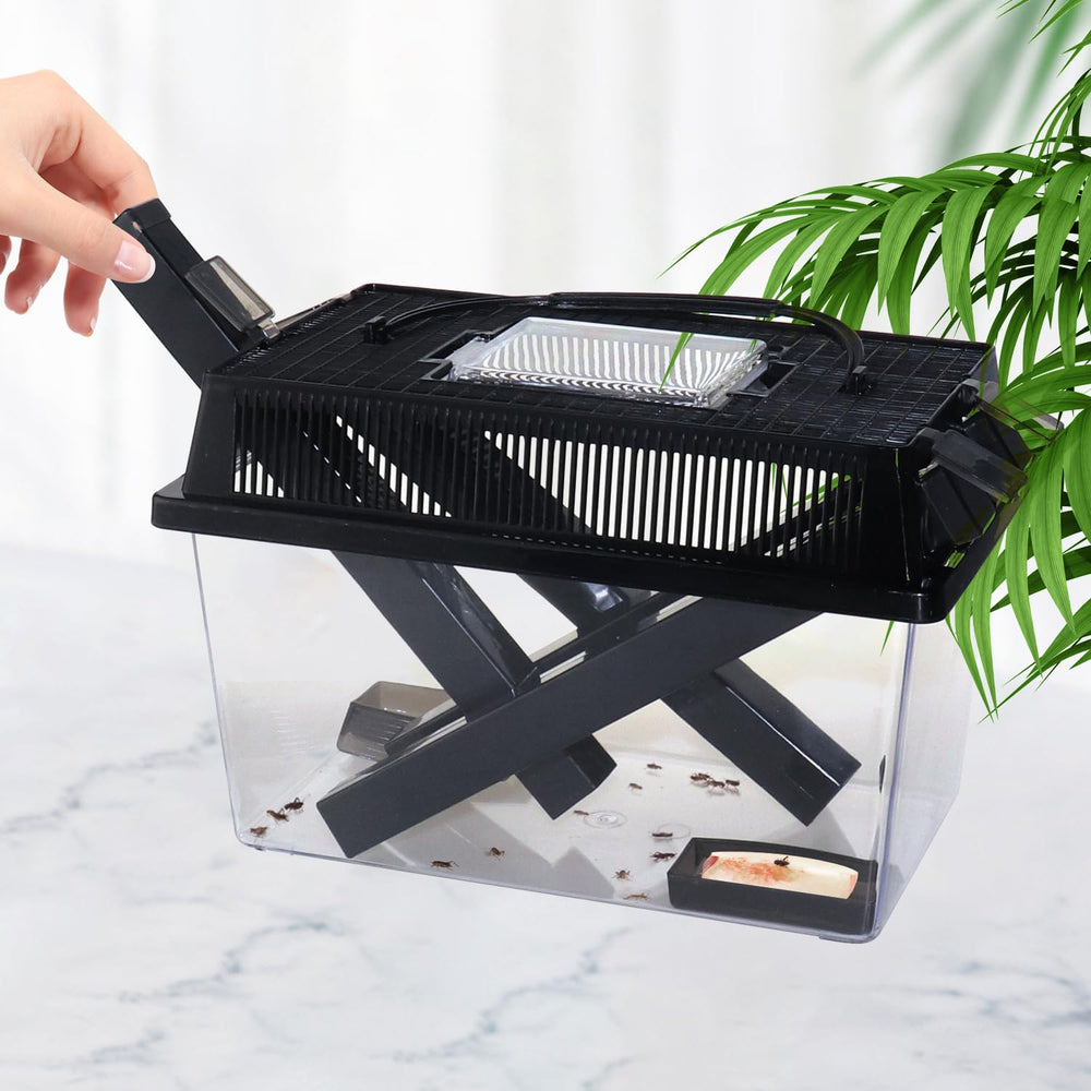 NANEEZOO Contenedor para grillos, tapa removible para alimentación segura.
