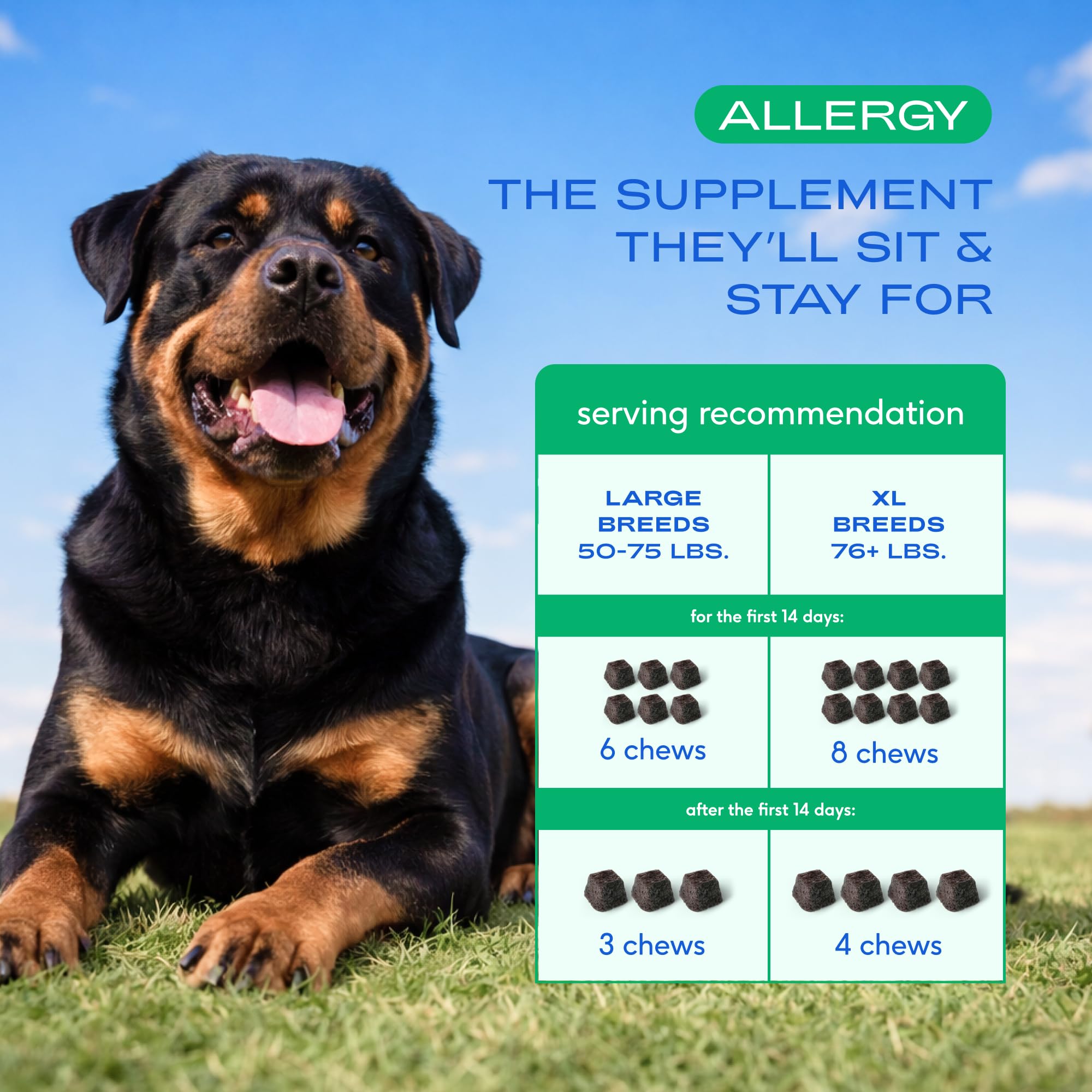 Native Pet Alergia para perros grandes: probióticos para una digestión equilibrada