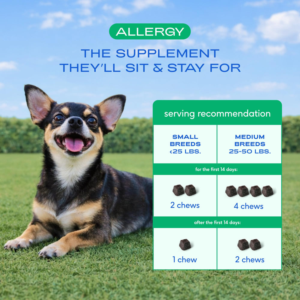 Native Pet: fórmula sin rellenos para alivio de alergias y picor.