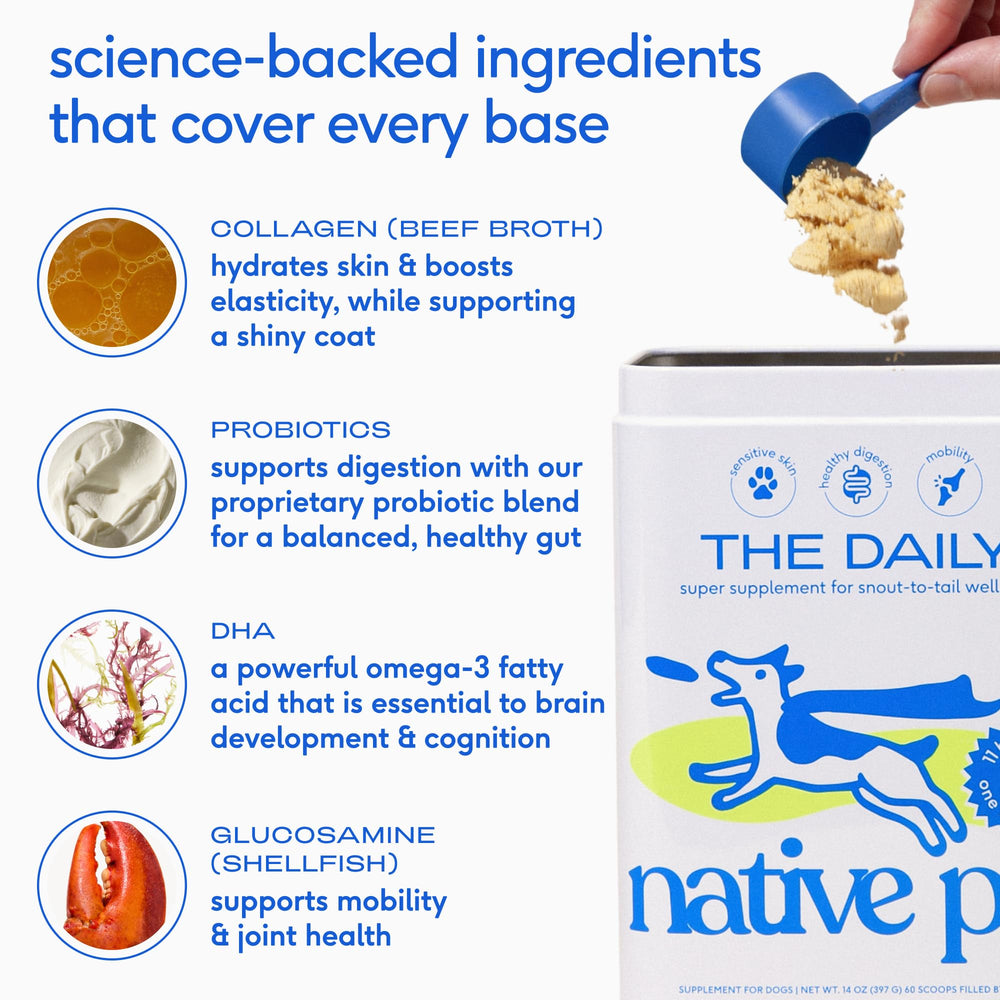 Native Pet bundle perro pelaje brillo, apoyo para piel y pelaje saludables