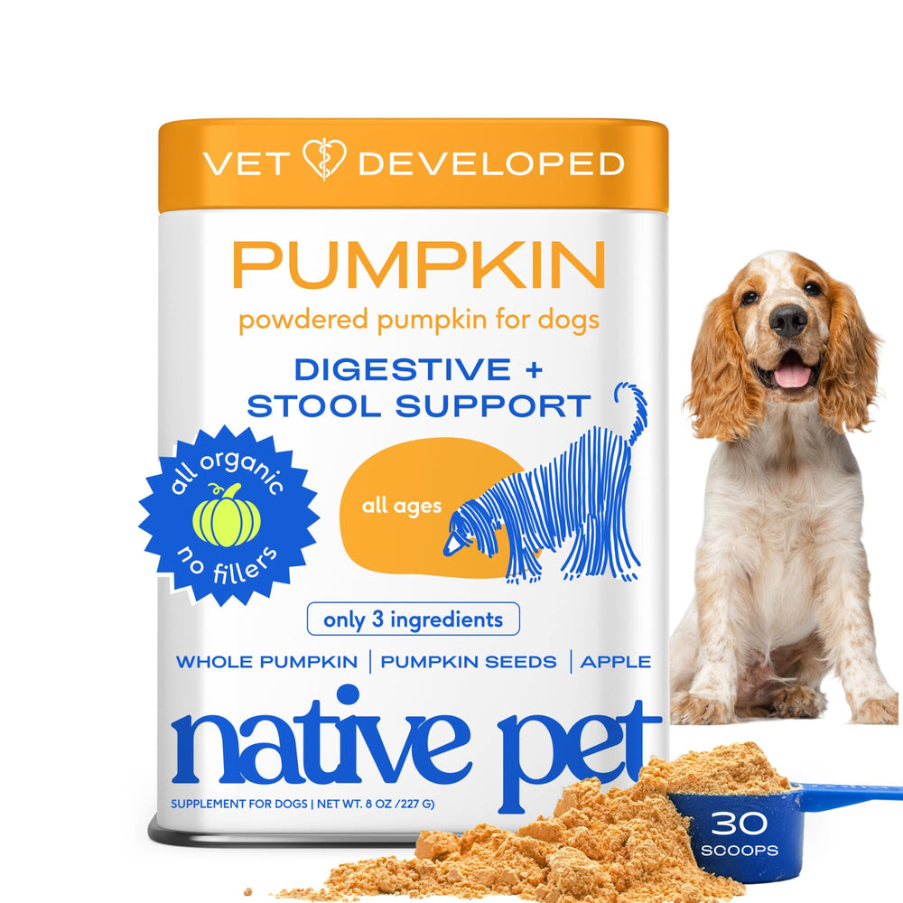 Native Pet Calabaza para perros en polvo, favorece la digestión