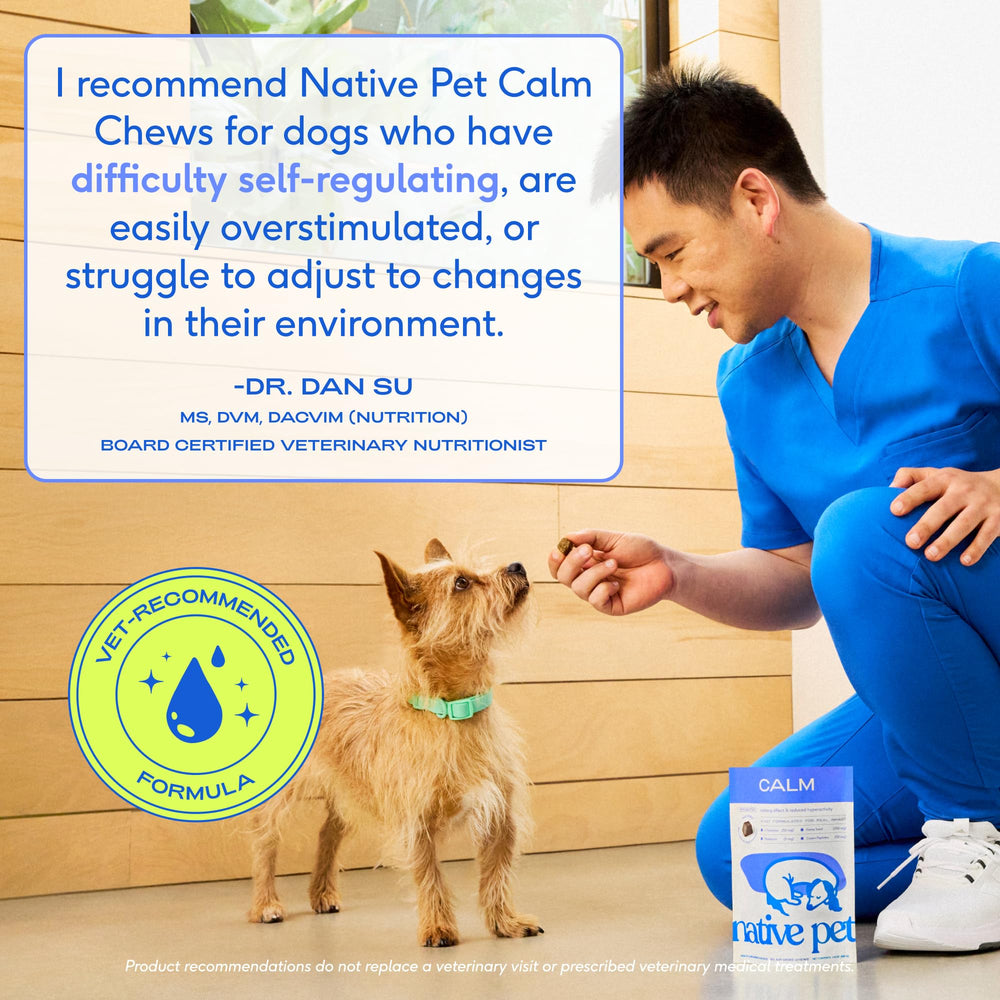 Native Pet Calming Chews: formulación veterinaria para impacto suave y seguro