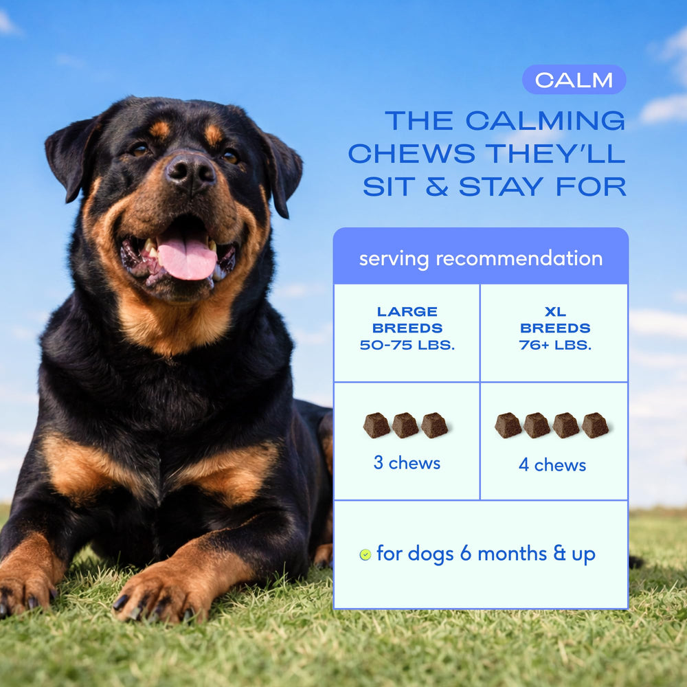 Native Pet Calming Chews: dosificación diaria para perros grandes