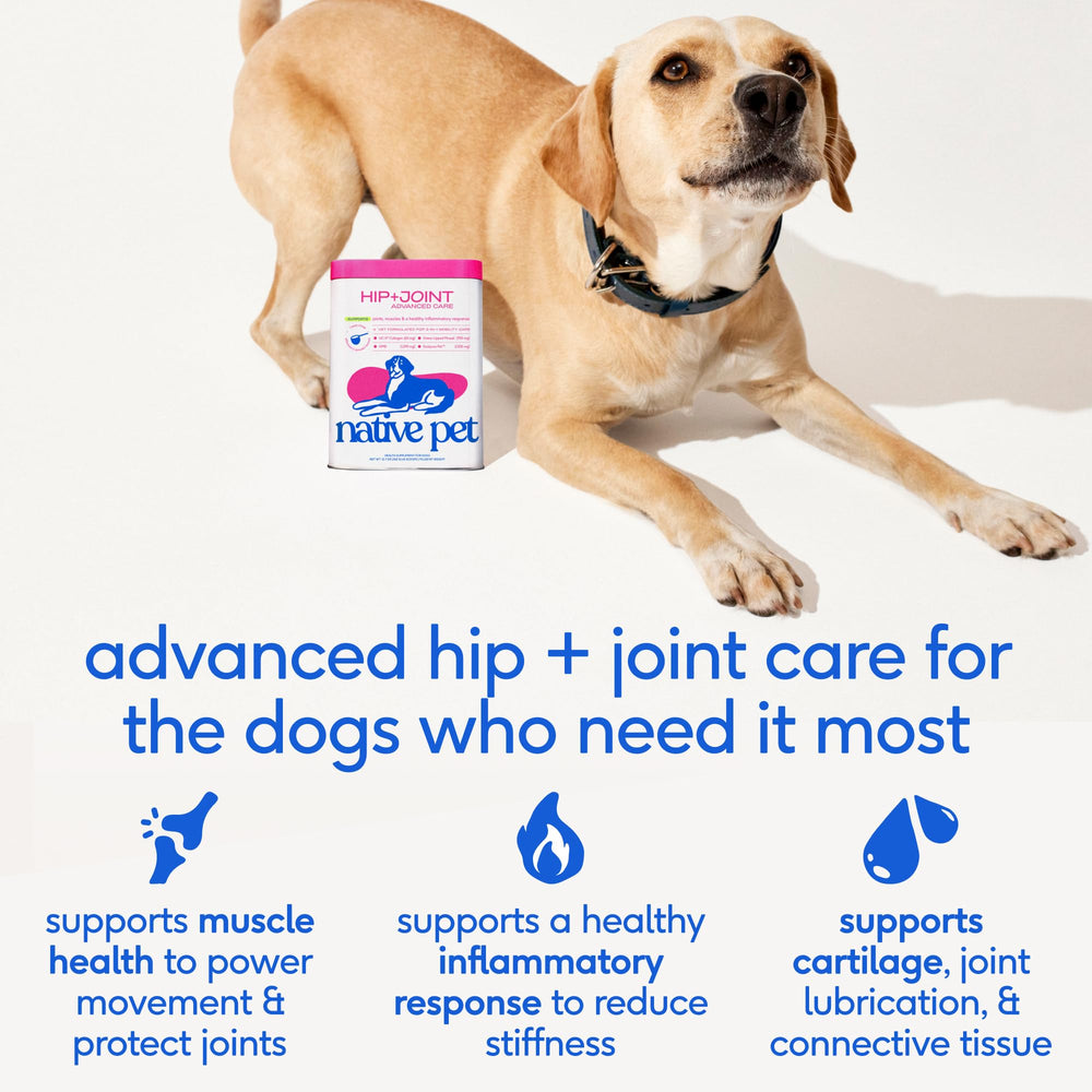 Native Pet colageno UCII para perros con articulaciones sanas